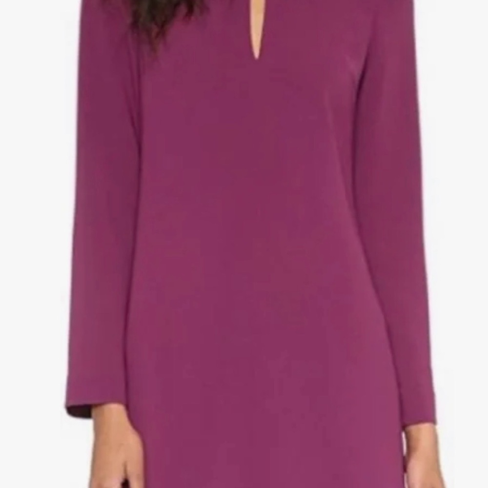 Elizabeth and James Wine-Purple Long-Sleeve Shift Dress